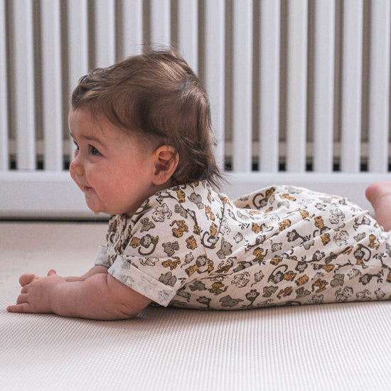 https://cdn.kids-world.com//images/products/AX659/originals/AX659-3.jpg?v=1738664655