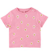 https://cdn.kids-world.com/images/products/AY008/originals/AY008.jpg?v=1738944062