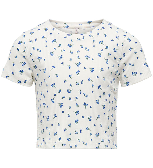 https://cdn.kids-world.com/images/products/BH004/originals/BH004.jpg?v=1742993844