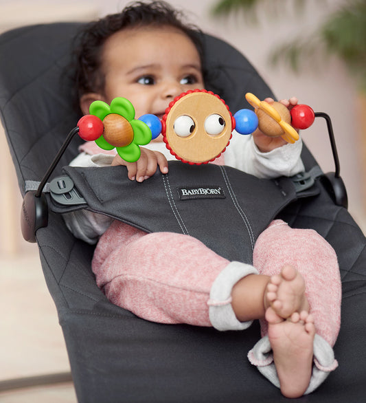 BabyBjörn Activiteitenspeelgoed Voor relaxfauteuil - Multi - BabyBjörn - OneSize - Activiteitenspeelgoed