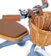 Banwood Driewieler - Trike - 3-6 Jaar - Blauw - Banwood - OneSize - Loopfietsen