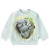 https://www.kids-world.com/images/originals/BR504.jpg