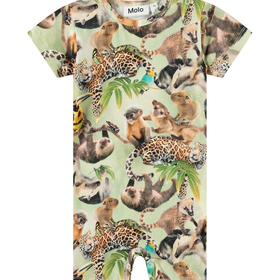 https://cdn.kids-world.com//images/products/BR506/originals/BR506.jpg?v=1753255614