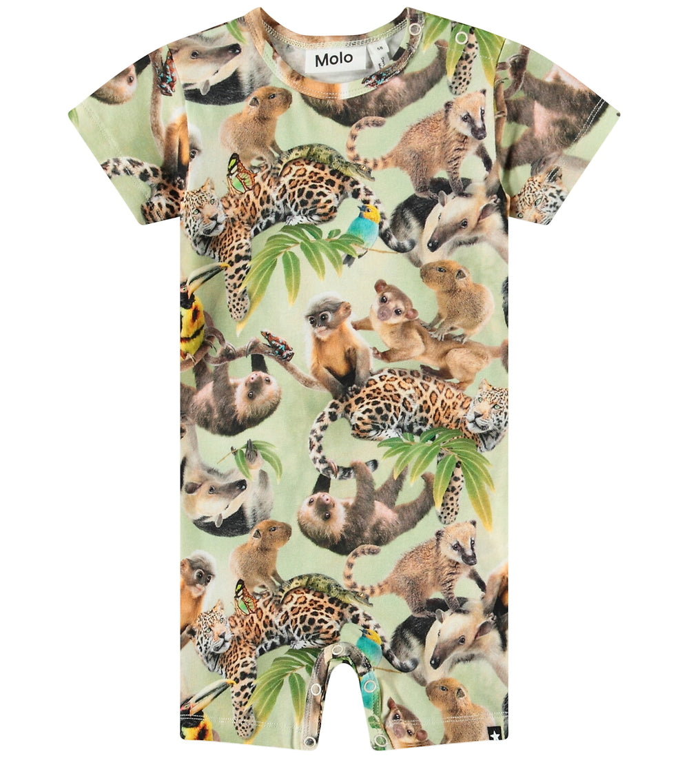 https://cdn.kids-world.com//images/products/BR506/originals/BR506.jpg?v=1753255614