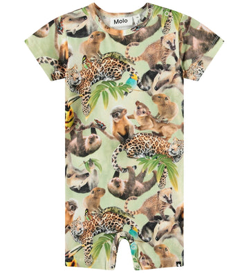 https://cdn.kids-world.com//images/products/BR506/originals/BR506.jpg?v=1753255614