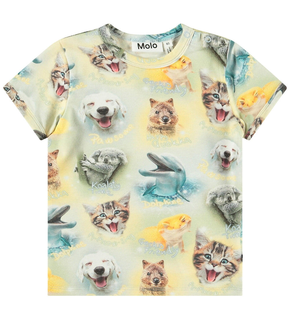 https://cdn.kids-world.com//images/products/BR693/originals/BR693.jpg?v=1753193314