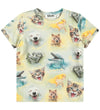 https://cdn.kids-world.com//images/products/BR693/originals/BR693.jpg?v=1753193314