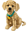 LEGO® Icons - Golden Retriever-puppy 11384 - 2102 Onderdelen - LEGO® - OneSize - Blokken