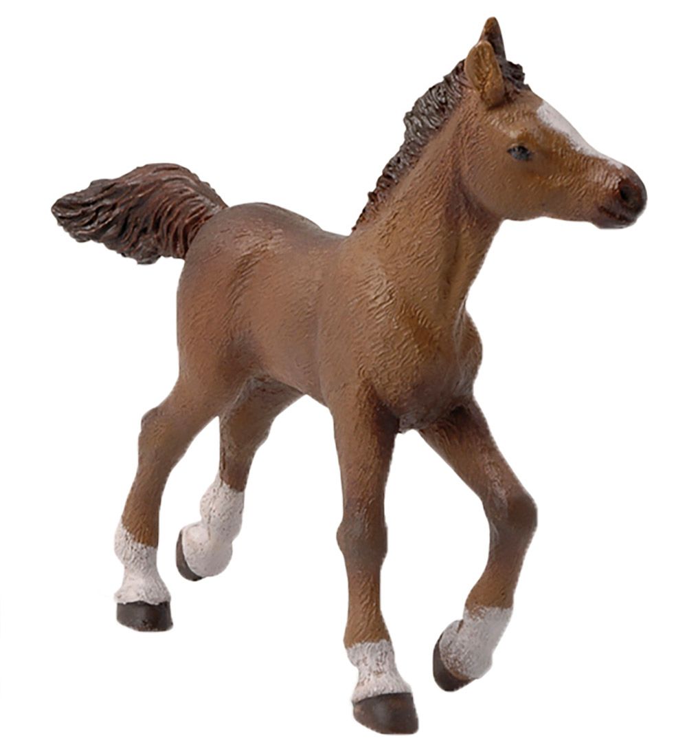 https://www.kids-world.com/images/originals/CT406.jpg