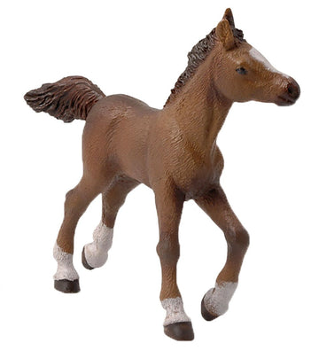 https://www.kids-world.com/images/originals/CT406.jpg
