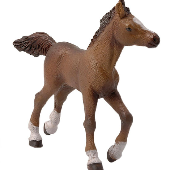 https://www.kids-world.com/images/originals/CT406.jpg