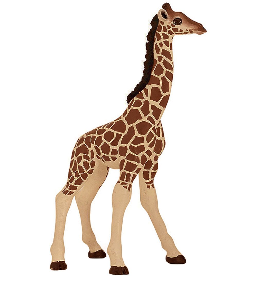 https://www.kids-world.com/images/originals/CT420.jpg