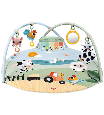Tiny Love Speelkleed - Dynamische Gymini - Tiny Love - OneSize - Speelkleden