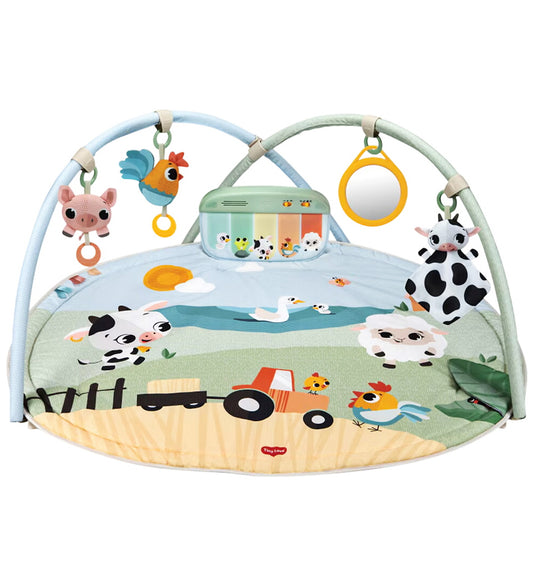 Tiny Love Speelkleed - Dynamische Gymini - Tiny Love - OneSize - Speelkleden