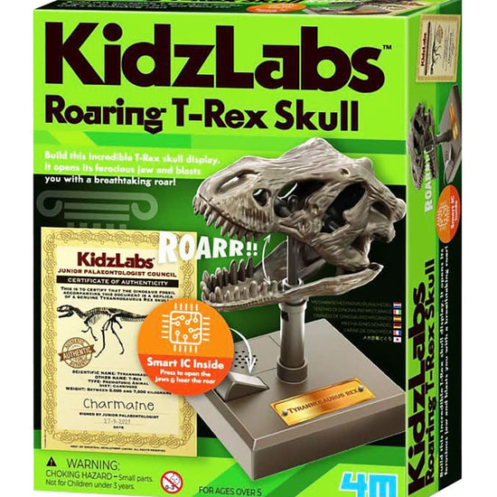 https://www.kids-world.com/images/originals/DX813.jpg