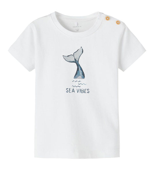 https://cdn.kids-world.com//images/products/ER626/originals/ER626.jpg