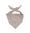 GoBabyGo Babyslabbetje - Bandana - Donna Leigh - GoBabyGo - OneSize - Kwijlsjaaltjes