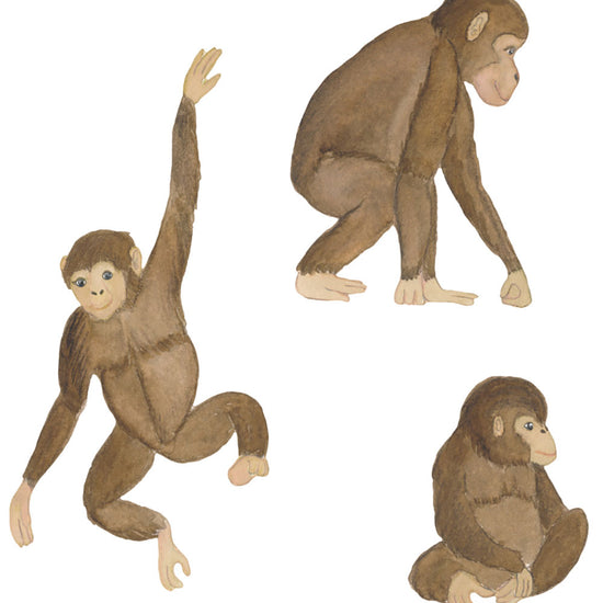 https://www.kids-world.com/images/originals/FJ027.jpg