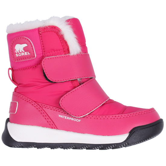 https://cdn.kids-world.com/images/products/FR794/originals/FR794.jpg?v=1702025637