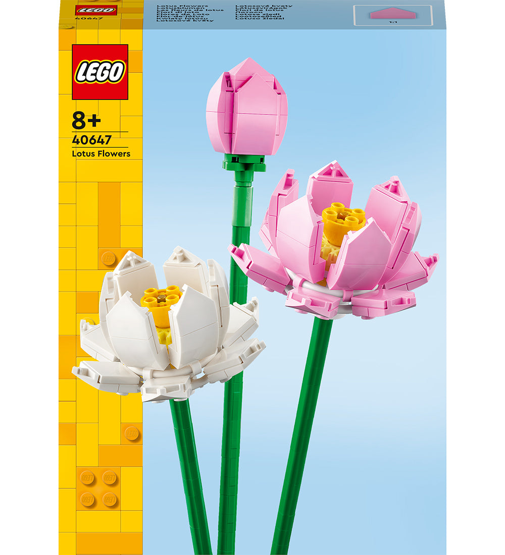 https://cdn.kids-world.com/images/products/GA101/originals/GA101.jpg?v=1704834545