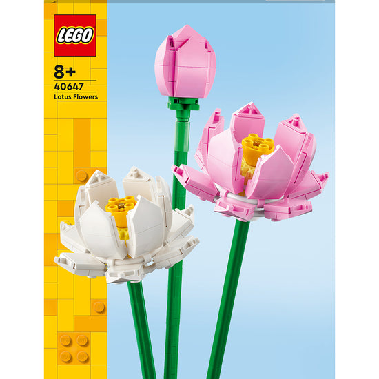 https://cdn.kids-world.com/images/products/GA101/originals/GA101.jpg?v=1704834545