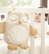 Cloud-B Knuffel m. Geluid/Sensor - 24 cm - Nighty Night Owl - Cloud-B - OneSize - Knuffels