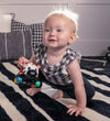 Baby Einstein Activiteitenspeelgoed - Zen Oball Voertuig - Baby Einstein - OneSize - Activiteitenspeelgoed
