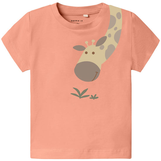 https://cdn.kids-world.com/images/products/GW206/originals/GW206.jpg?v=1719574104