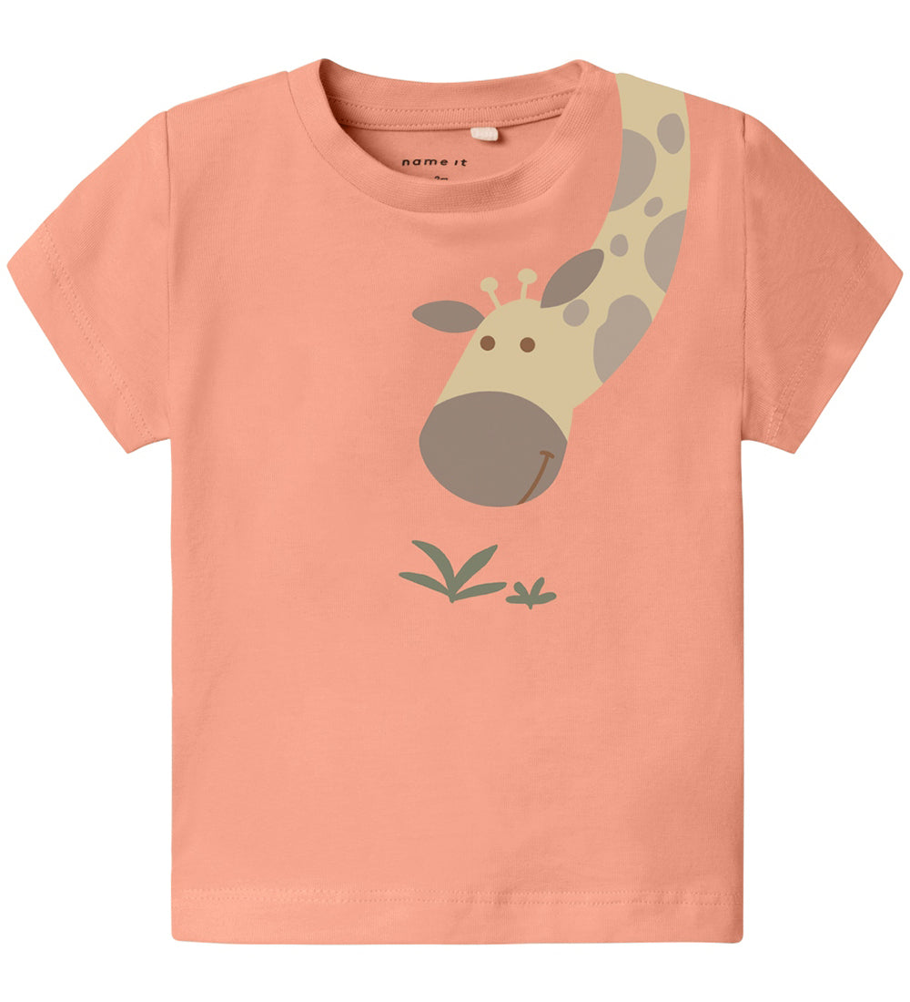 https://cdn.kids-world.com/images/products/GW206/originals/GW206.jpg?v=1719574104