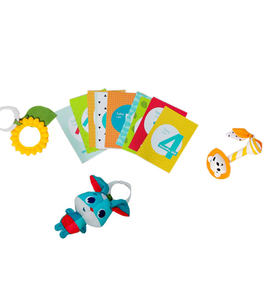 Tiny Love Cadeaubox - 19 Onderdelen - Weidedagen - Tiny Love - OneSize - Activiteitenspeelgoed
