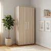 Kast Colorfull Home Noah 2-deurs