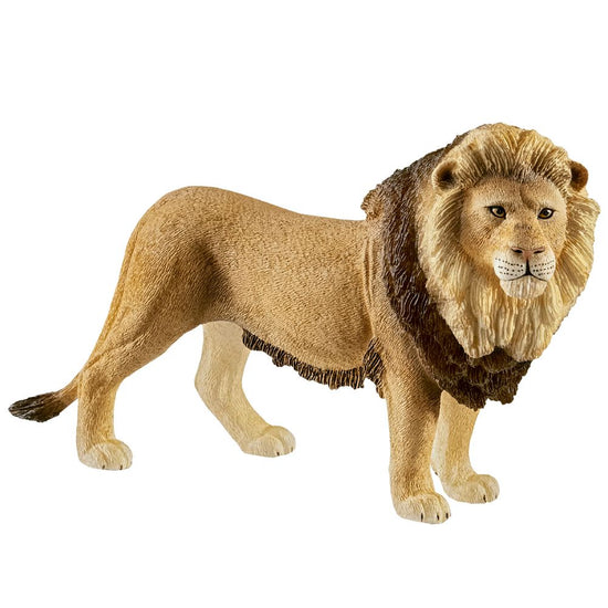 https://www.kids-world.com/images/originals/MK440.jpg