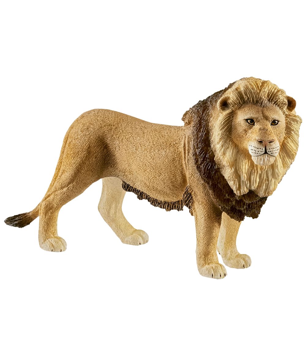 https://www.kids-world.com/images/originals/MK440.jpg