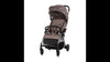 Buggy Chipolino Illusion Pink