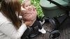 Meerijdplankje Novi Universeel Smart Fit Sit Black