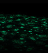 Play&Go Speelmat - Ø: 140 Cm - Space Glow - Play&Go - OneSize - Speelmaten