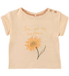 https://cdn.kids-world.com/images/products/SE777/originals/SE777.jpg?v=1702053288