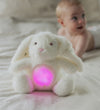 Teddykompaniet Nachtlamp - Knuffel m. Licht en Geluid - 25 cm -  - Teddykompaniet - OneSize - Nachtlampen