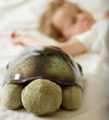Cloud-B Nachtlamp - Twilight - 30 cm - Bruin Schildpad - Cloud-B - OneSize - Nachtlampen