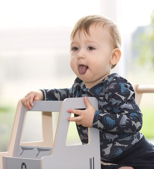 Smallstuff Loopwagen - Vrachtwagen - Blauw - Smallstuff - OneSize - Loopwagens
