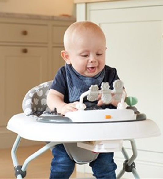 BabyDan Loopwagen - Groen - BabyDan - OneSize - Loopwagens