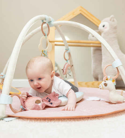 Tiny Love Speelkleed - Classic+ - Roze - Tiny Love - OneSize - Speelkleden