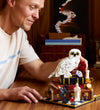 LEGO® Harry Potter - Steen der Wijzen - Verzamelaar... 76466 - 1 - LEGO® - OneSize - Blokken