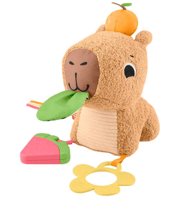 Fisher-Price Activiteiten Speeltje - 20 cm - Knuffelige Snack Ca - Fisher-Price - OneSize - Activiteitenspeelgoed