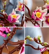 LEGO® Botanicals - Magnolia-Filiaal 11510 - 435 Onderdelen - LEGO® - OneSize - Blokken