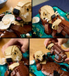 LEGO® Ideeën - Drijvende zeeotters 21366 - 1234 Onderdelen - LEGO® - OneSize - Blokken