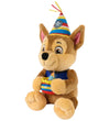 Paw Patrol Knuffel - 24 cm - Gund Verjaardag - Chase - Paw Patrol - OneSize - Knuffels