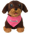 DR Knuffel - 24 cm - Hondenbende - Messi - DR - OneSize - Knuffels