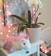 Cloud-B Nachtlamp - Twilight Buddies - Eenhoorn - Cloud-B - OneSize - Nachtlampen