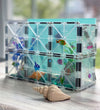 Magna-Tiles Magneetset - 16 Onderdelen - Ijs - Magna-Tiles - OneSize - Magnetisch speelgoed